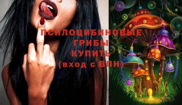 ECSTASY Абинск