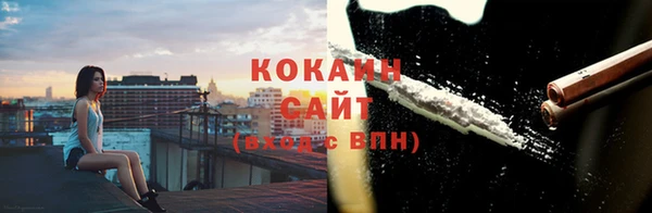 тгк Абаза