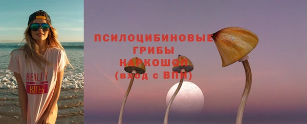альфа пвп Новокубанск